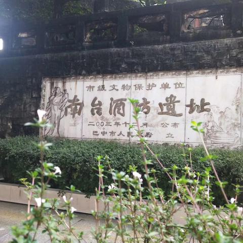 家族企业传承密码：全球百年老店治理结构分析