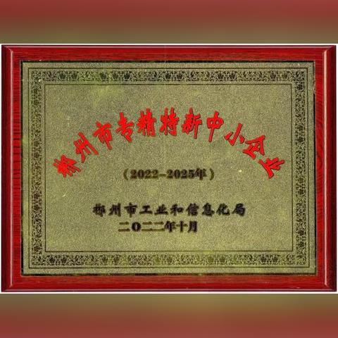 粤港澳大湾区专精特新企业技术路线图解析