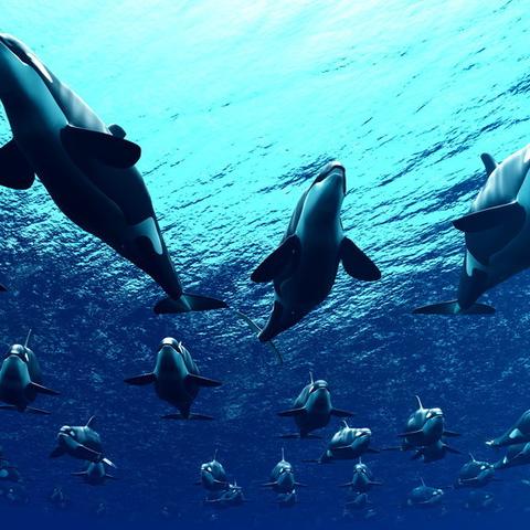 国家地理：合成生物学公司全球专利地图中的垄断暗礁