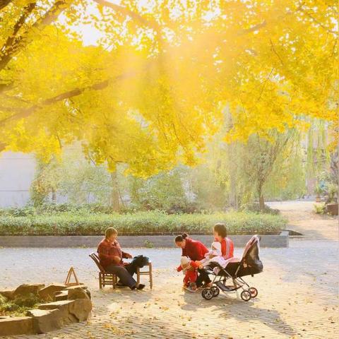 长兴倒闭企业排名榜最新