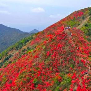 从化政府驻地在哪里啊最新消息