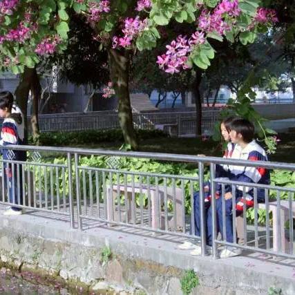 广东省跑步队队员名单最新