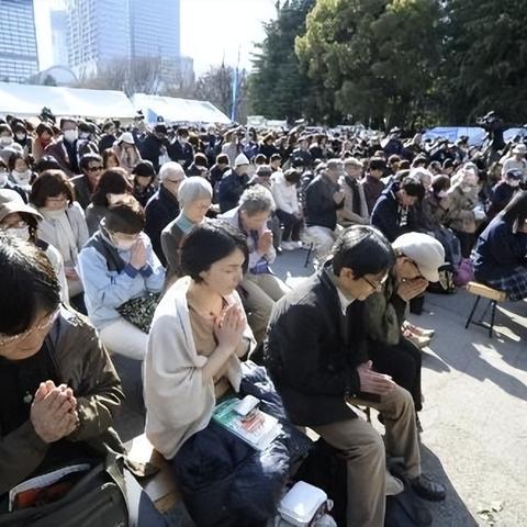政策波动应对指南：敏感性分析模型+弹性预案库