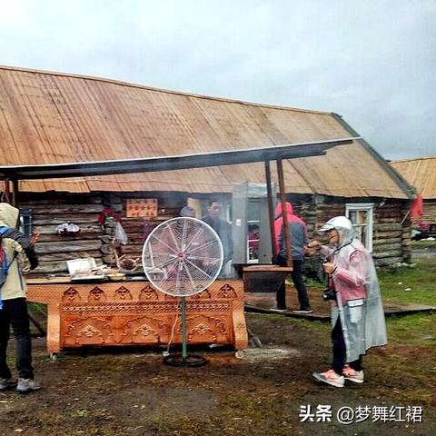 禾木目前价格走势图最新