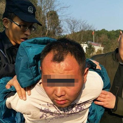 平岗恶性案件最新消息查询