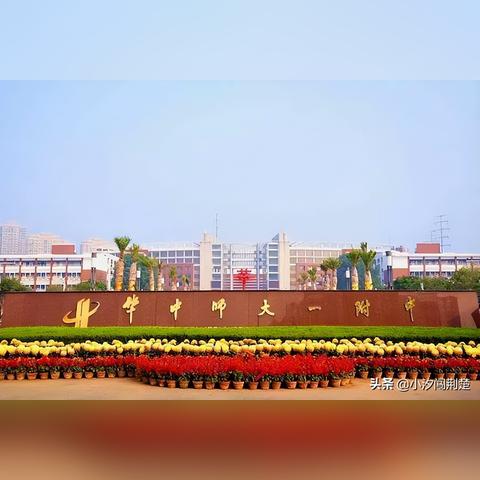 武钢中学搬迁到哪里了最新消息
