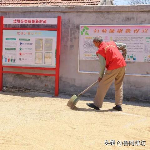 收割小麦场地要求规范最新