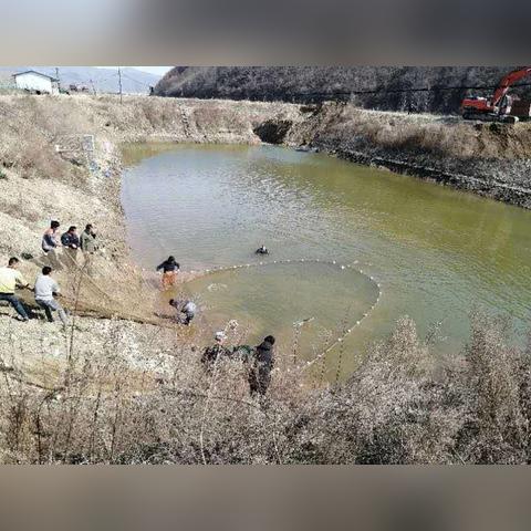 岫岩鱼塘转让信息最新价格