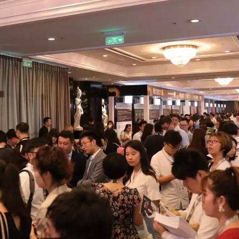 盛大企业图谱大全最新