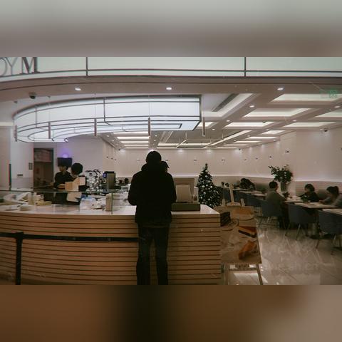 首家上海蛋糕店排名榜最新