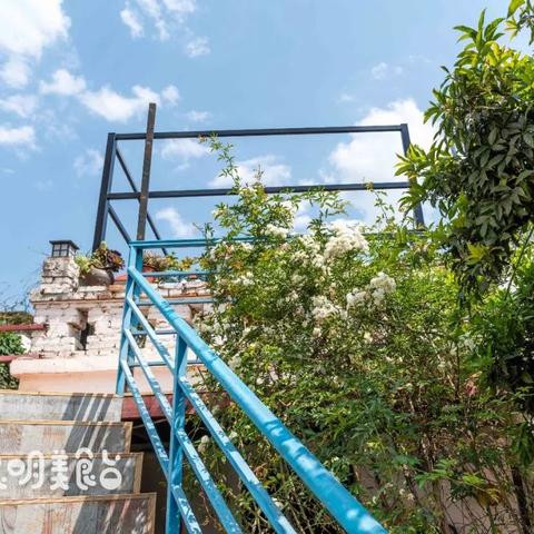 昆明小猫配崽价格查询最新