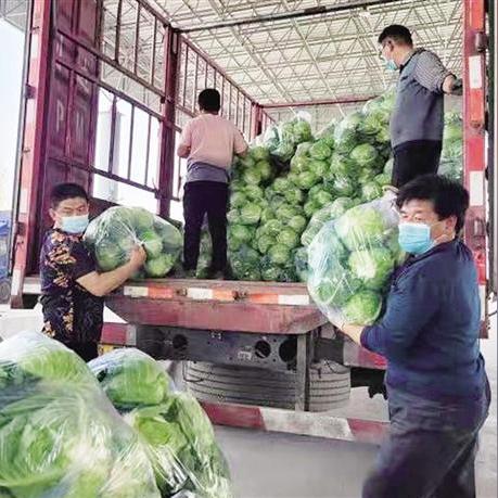 近日疏菜价格走势分析最新