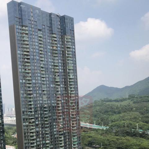 平南一批别墅名单公示最新