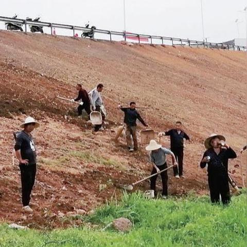 防洪大堤养护要求标准最新
