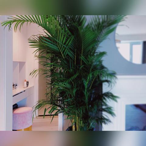 长安自建房装修价格表最新