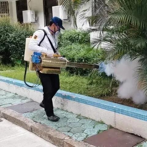 怀真抱素 第2页