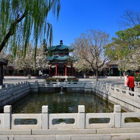 中山酒楼家宴价格查询最新