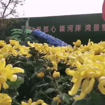 永安一手楼盘价格表最新