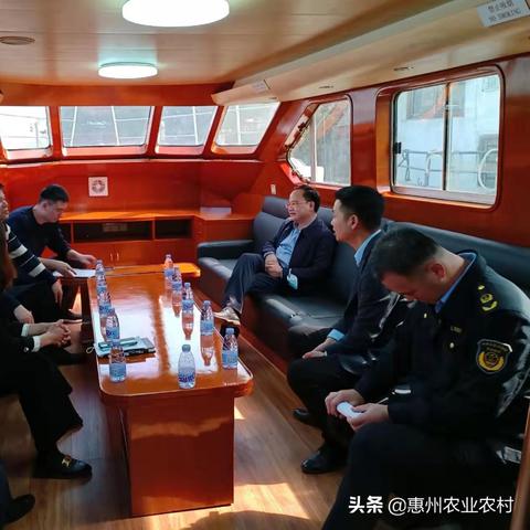 惠州拉土执法事件始末最新消息