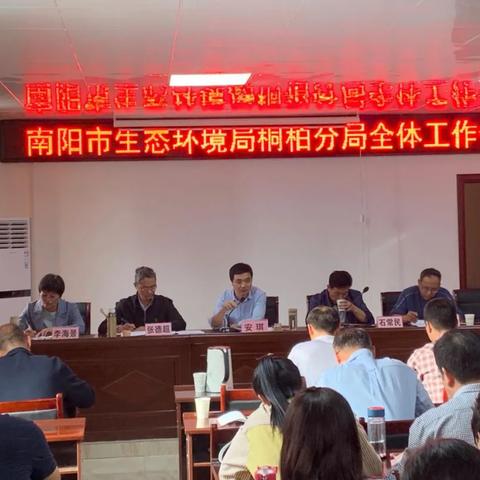 安琪全局解说大全最新视频