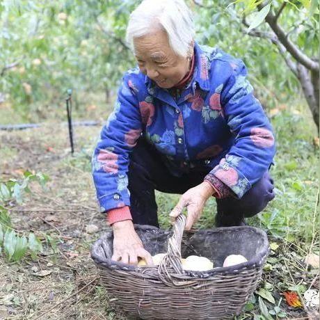 太河散装矿泉水价格表最新