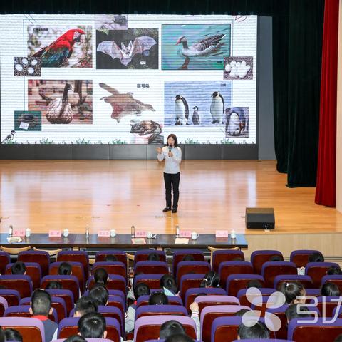 苏州鸟类观察报告范文最新
