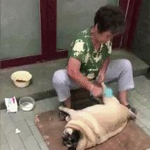 特效最新西瓜