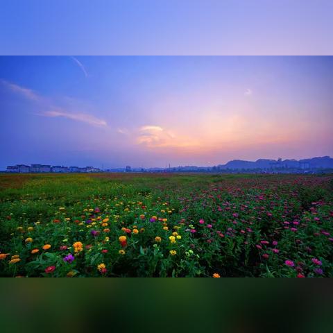 沙湾地区面积大小及最新动态报道