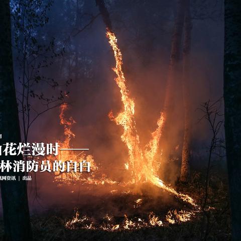云南洪灾最新动态，灾害现场及救援进展实时播报