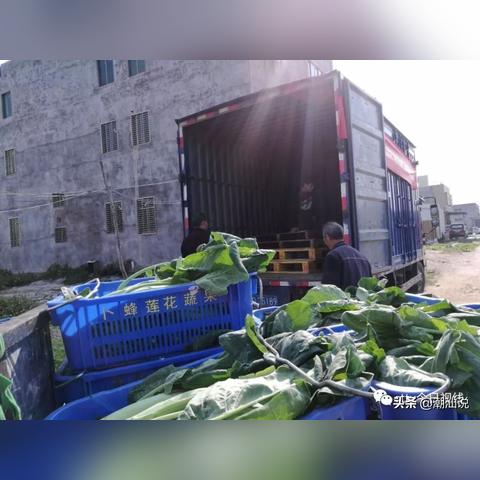 澄海永新路段最新动态报道