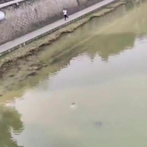 云烟 第2页