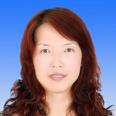环县各乡镇区划图最新更新，洞悉县域行政划分新动态