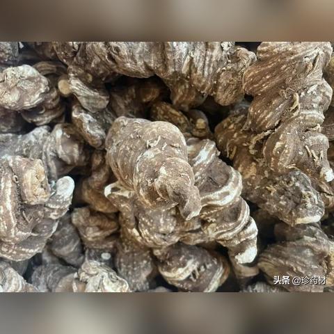 野生山药行情走势分析最新报告
