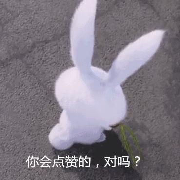 最新绘本新闻播报视频播放，聚焦绘本世界，传递最新资讯