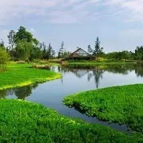 中国美景搬运工招聘热潮涌动，最新岗位信息一网打尽
