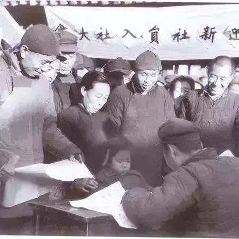 官方支持：2025年全年资料免费公开解析——智慧农业 vs 数字鸿沟