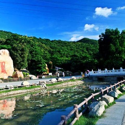 前天深圳疫情最新消息全面解析