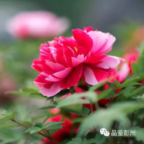 大梦千年最新更新内容，历史长河中的人文探索与发现