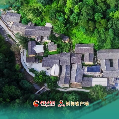 政策表明：2025精准免费资料查询解析——绿色项目 vs 生态争议