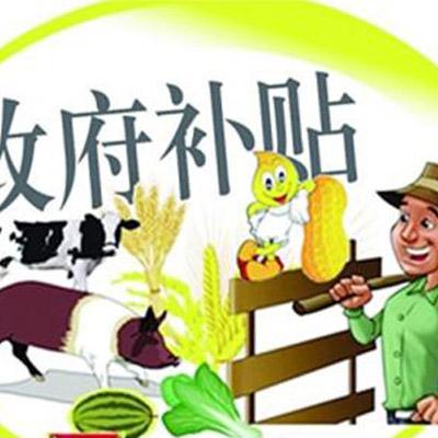 官方观点：管家最准一码一肖100解析——耕地红线 vs 土地流转