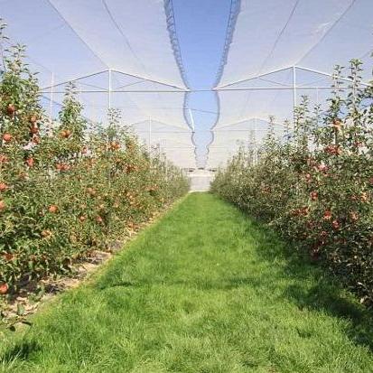 政策概要：2025全年正版资料大全解析——投资审查 vs 市场准入