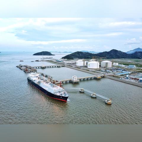 官方支持：2025新奥原料免费大全详述——贸易便利化