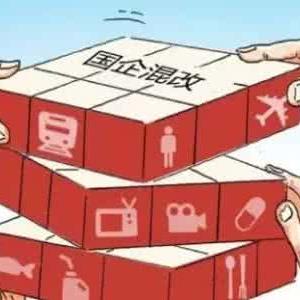 官方观点：2025精准免费资料查询详述——国企混改提速 vs 国有资产流失红线