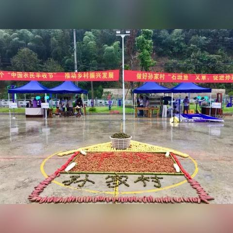 最新临安宣传部成员名单及工作概述