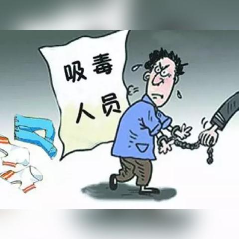 与辉同行，秦皇岛最新动态深度解析