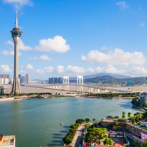 官方观点：2025新澳门天天免费解析——种子战争 vs 本土保育