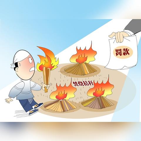官方支持：2025年正版资料免费大全解析——农机补贴 vs 小农困境