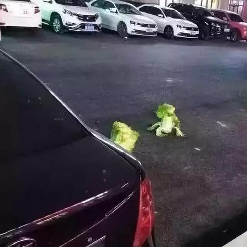 西安车位小区收费标准最新解读与指南