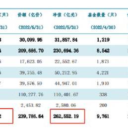 政策概要：香港最准一肖一特100解析——资管新规过渡期结束 vs 净值化转型阵痛