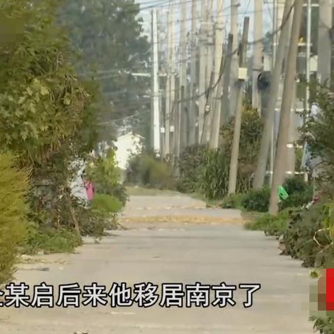 最新热门游戏解析，寻找真凶游戏答案全解析与攻略最新版